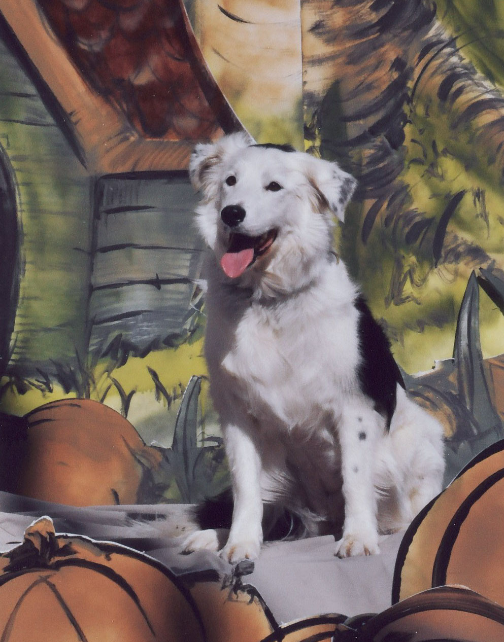 Mallory at Dogtoberfest