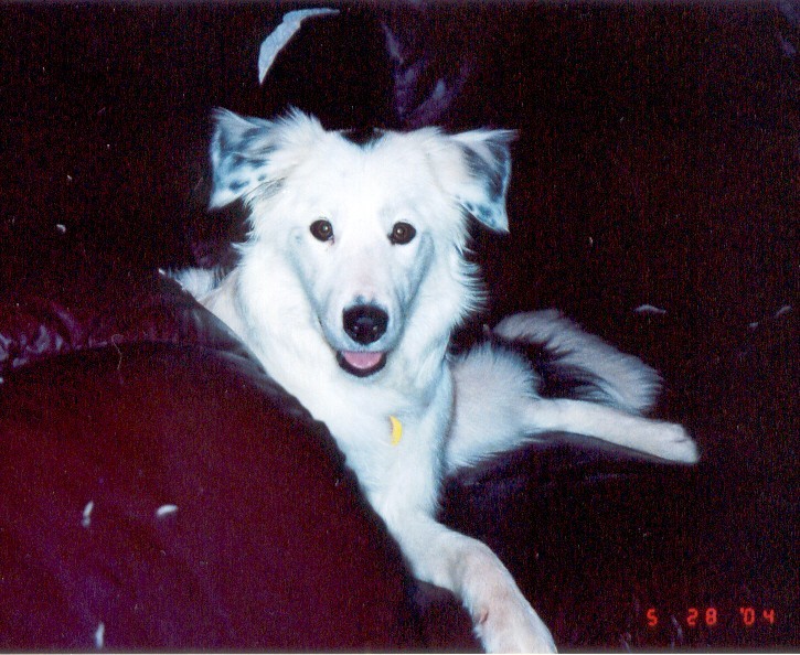 Mallory in 2004