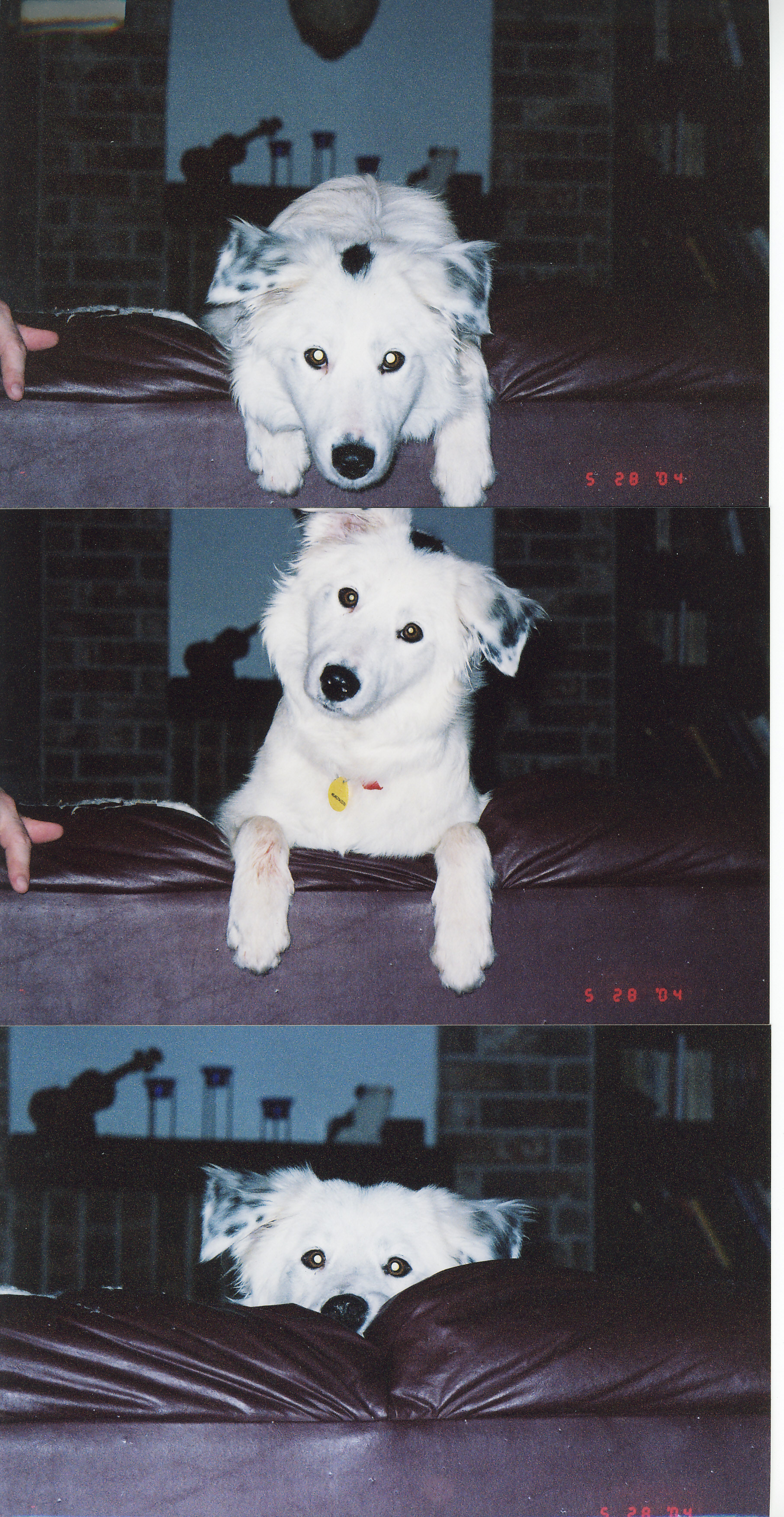 Mallory, shortly after her arrival in 2004